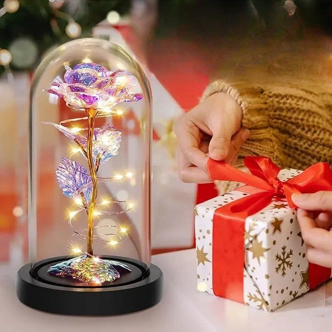 Romantic Illuminated Eternal Rose Display
