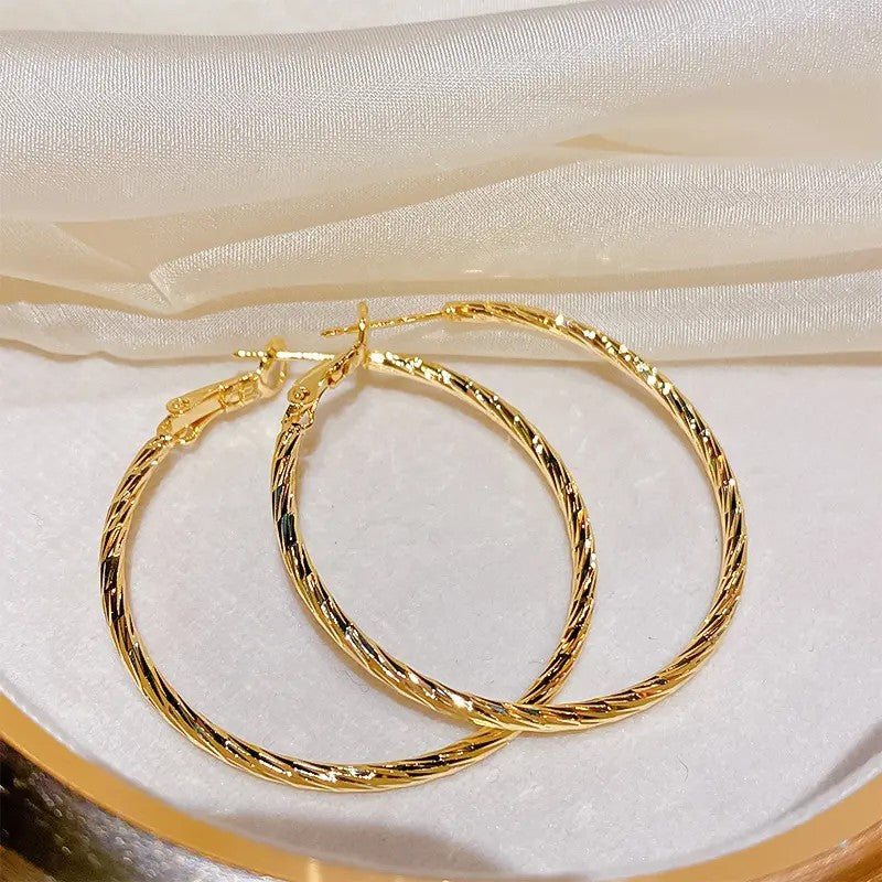 14k Elegant Twisted Rope Hoop Earrings