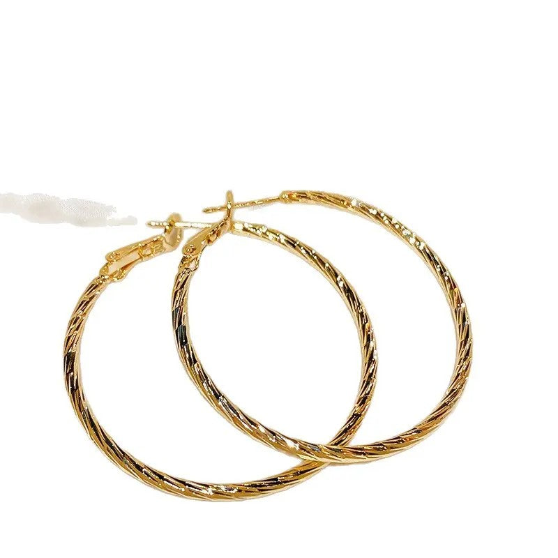 14k Elegant Twisted Rope Hoop Earrings
