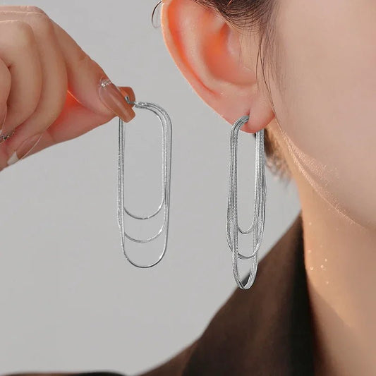 Dainty Tassel Dangle Chain Earrings - Veinci