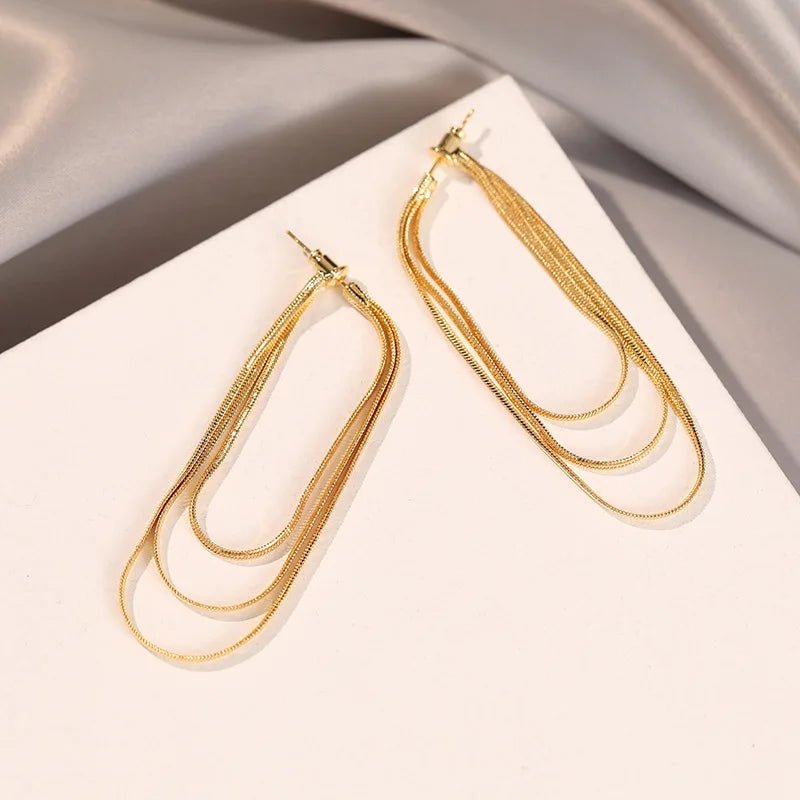 Dainty Tassel Dangle Chain Earrings - Veinci