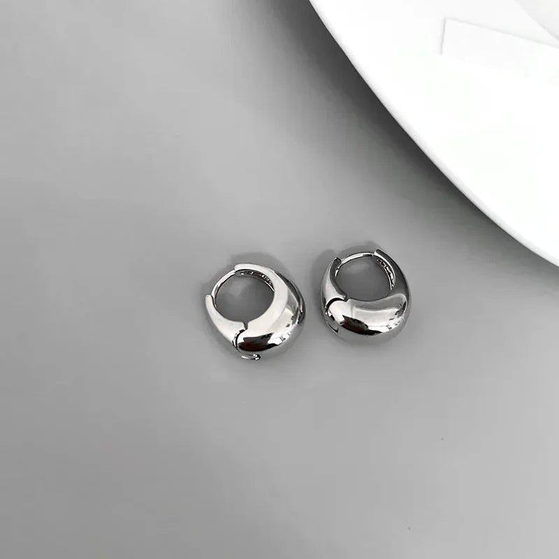 S925 Classy Hoop Dainty Earrings - Veinci