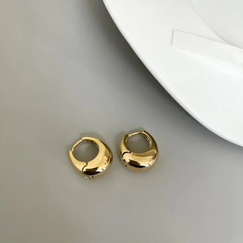 S925 Classy Hoop Dainty Earrings - Veinci