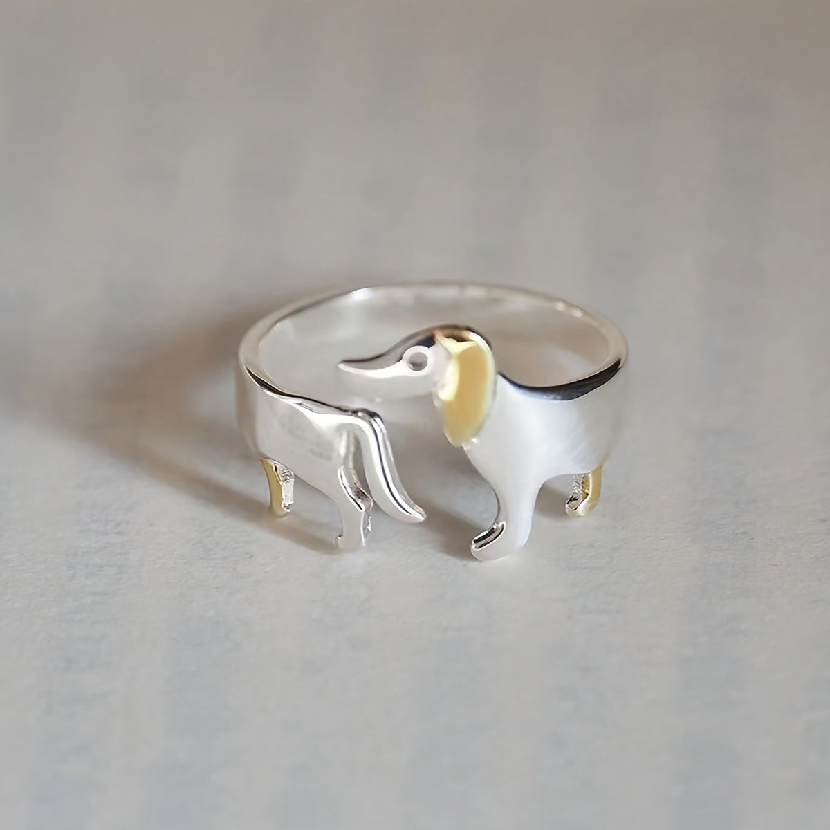 Cute Dachshund Puppy Ring