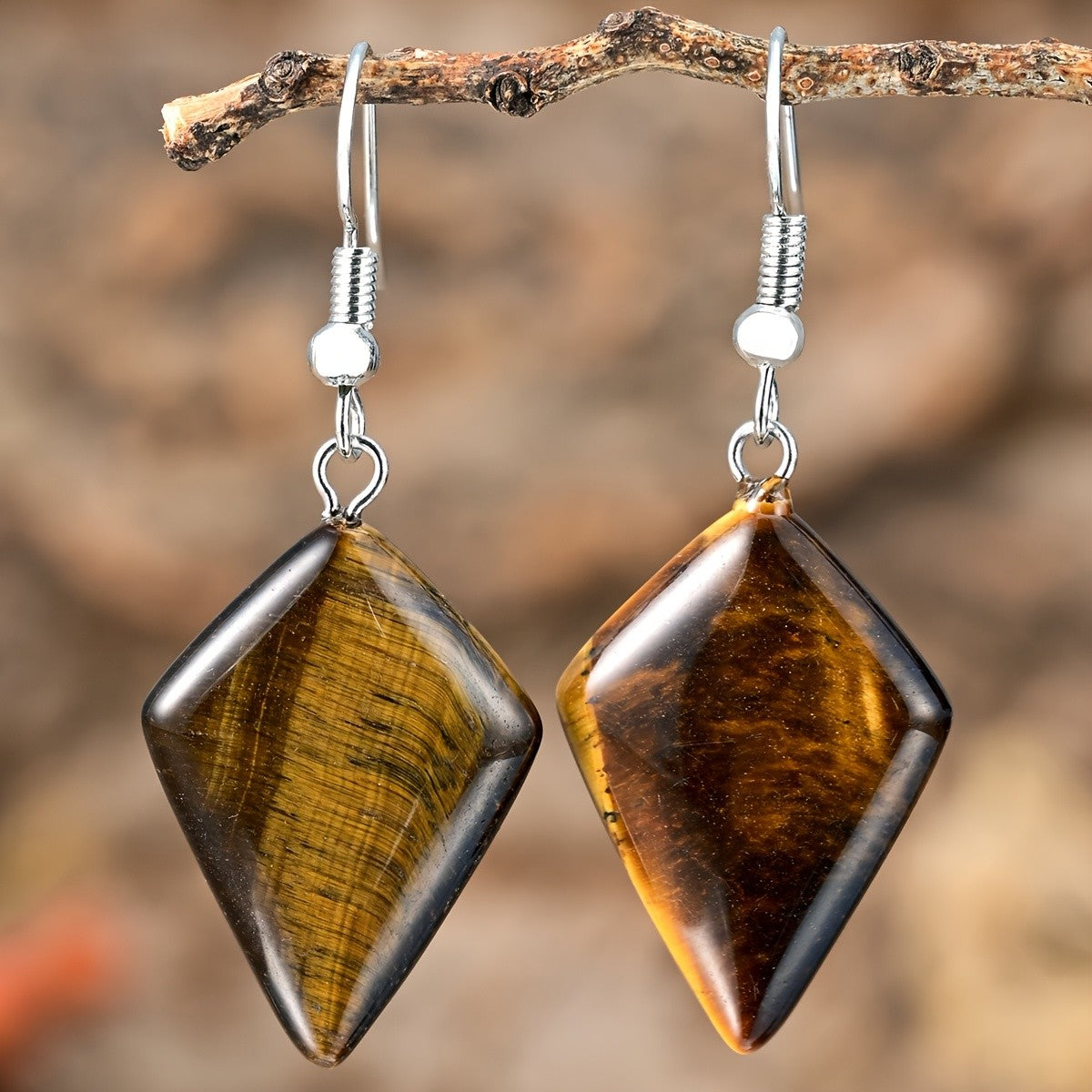 Boho Tiger Eye Kite Dangle Earrings